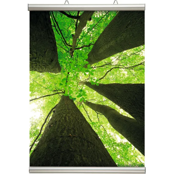 Plakatlist Poster-line A0, 841mm,alu