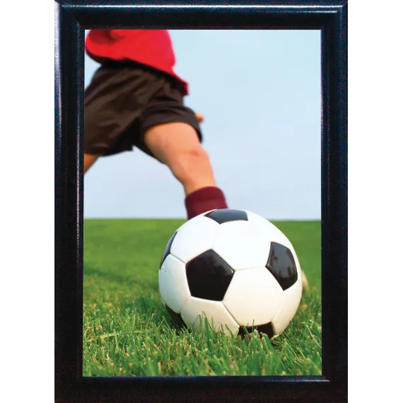 Plakatramme Snap 25mm A4