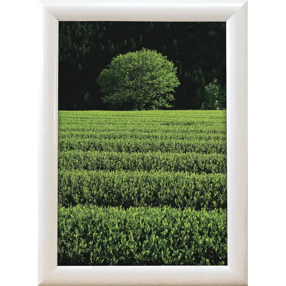 Plakatramme Snap 25mm A3