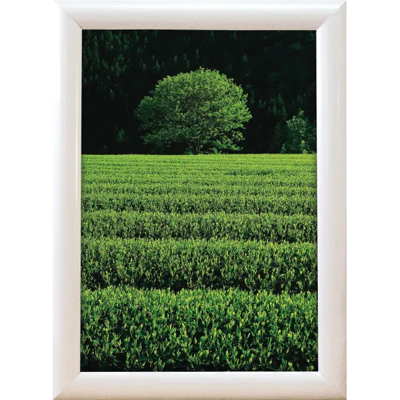 Plakatramme Snap 25mm 70x100cm