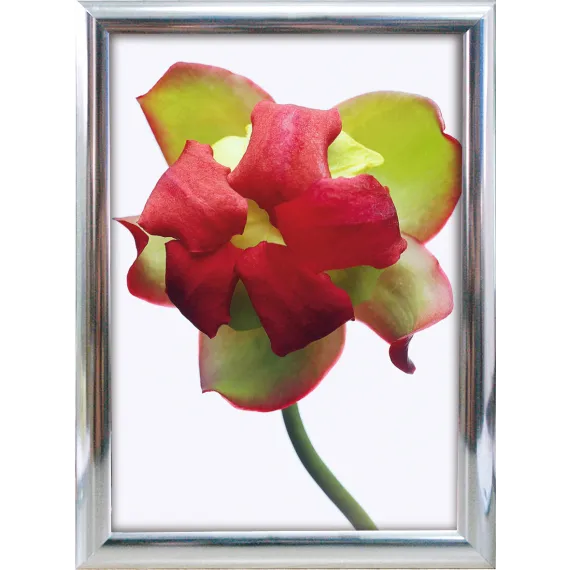 Plakatramme Snap 25mm 70x100cm