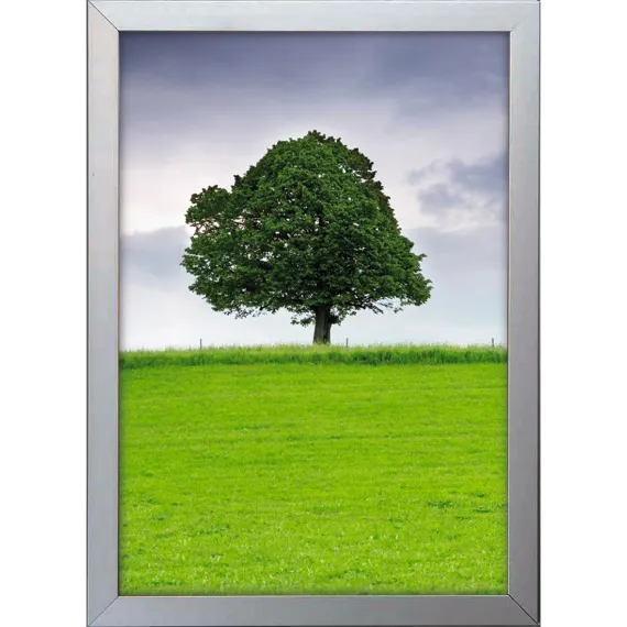 Plakatramme Snap 32mm 50x70cm Vindu