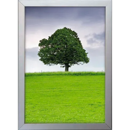 Plakatramme Snap 32mm 50x70cm Vindu