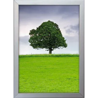 Plakatramme Snap 32mm 70x100cm Vindu