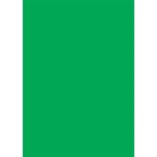 Plakatkartong Grønn Fluor,270gr/m2, 70x100cm