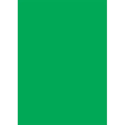 Plakatkartong Grønn Fluor,270gr/m2, 70x100cm
