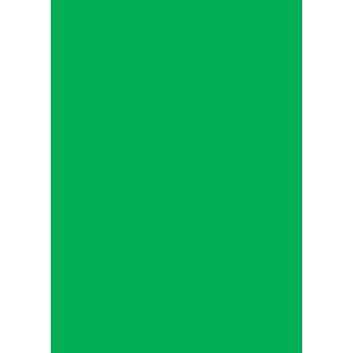 Plakatkartong Grønn Fluor,270gr/m2, 50x70cm