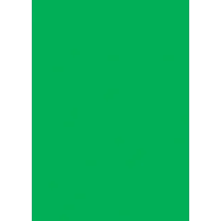 Plakatkartong Grønn Fluor,270gr/m2, A4