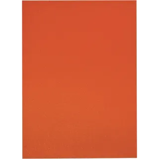 Plastplakat A4,Orange fluor