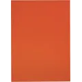Plastplakat 70x100cm,Orange fluor
