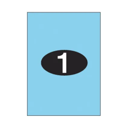 Etiketter KL 210x297mm (1x1) Transparent