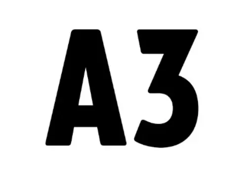 A3
